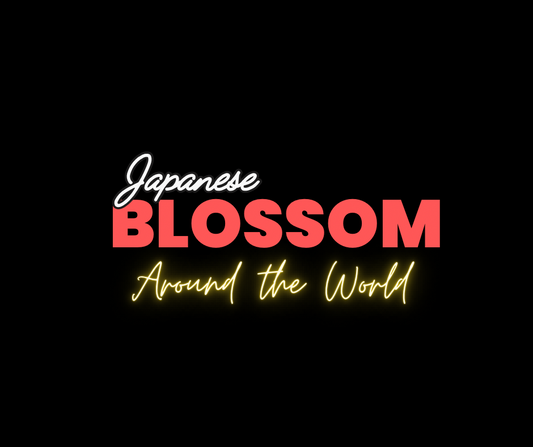 Japanese Blossom - Around the World NEW* Spring 24 (Pack of 2)