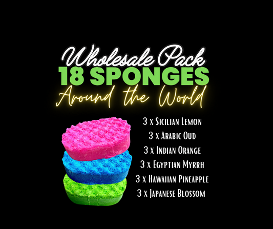 Around the World - Soap Sponge Wholesale Pack