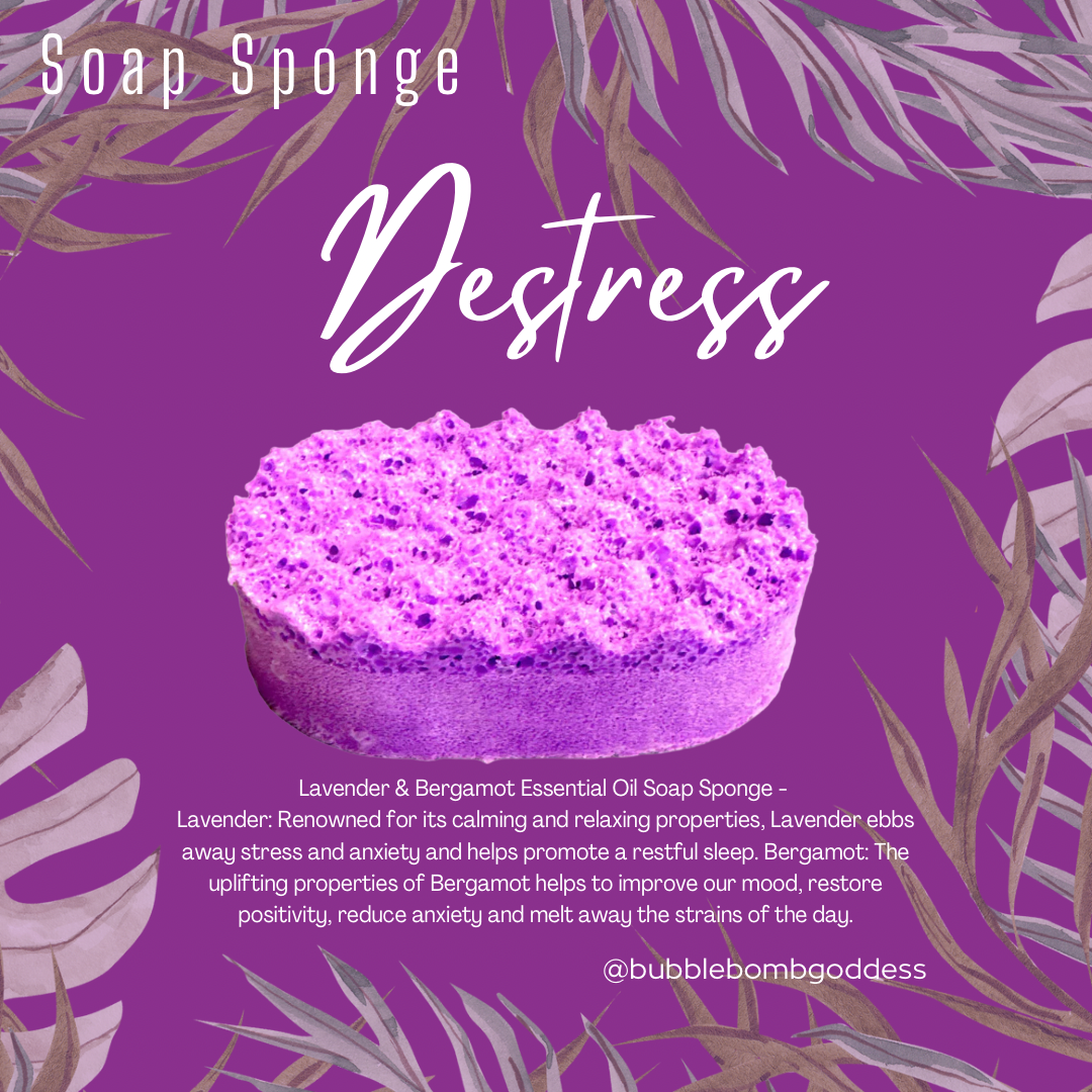 NEW for 2024 - Aromatherapy - Essential Oil Soap Sponge Wholesale Pack