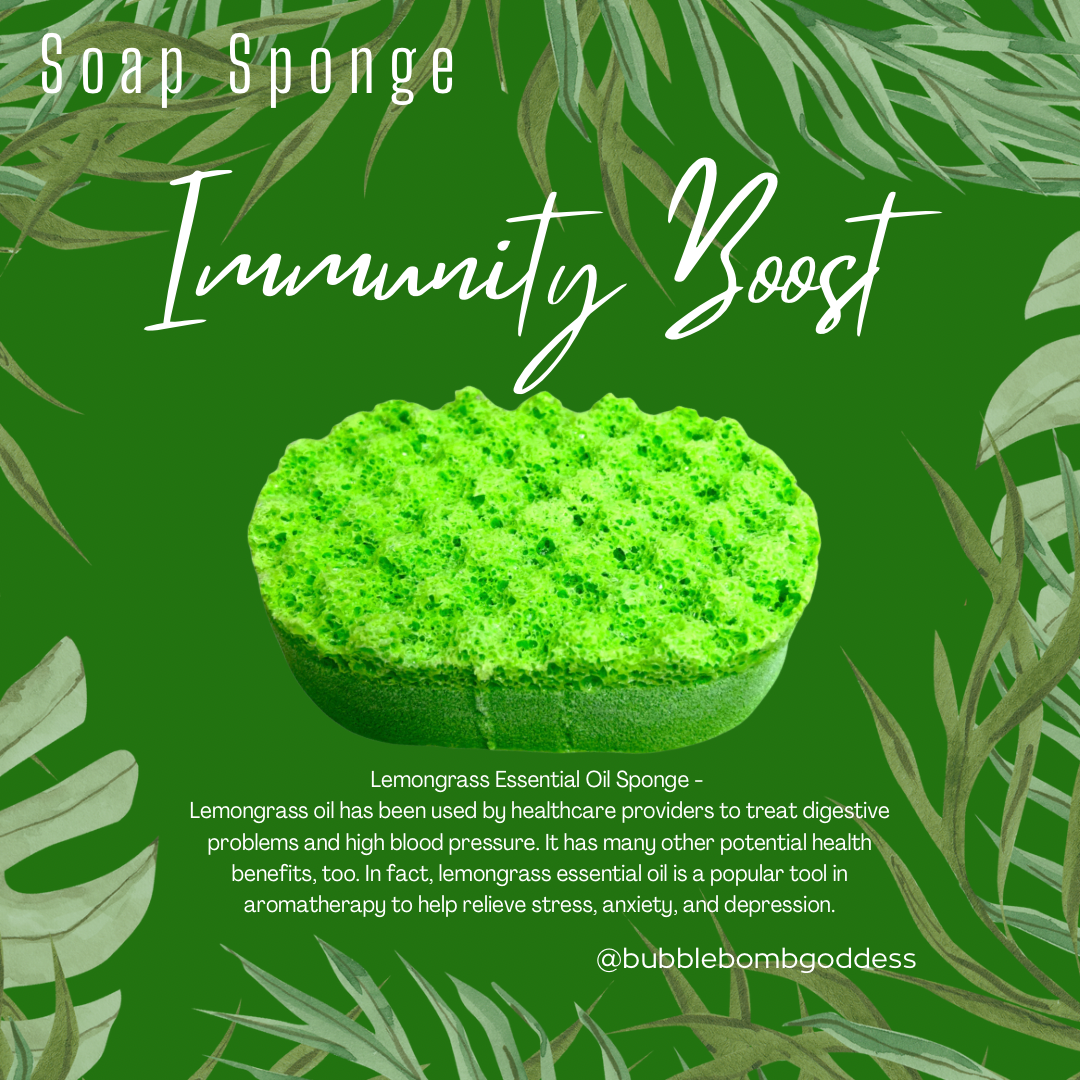 NEW for 2024 - Aromatherapy - Essential Oil Soap Sponge Wholesale Pack