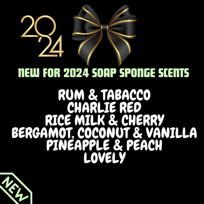 New for 2024 SOAP SPONGE WHOLESALE PACK